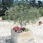 Tenuta Turchi B&B