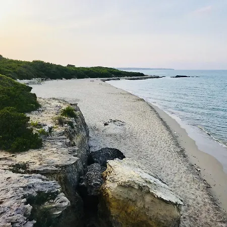 Bed & Breakfast Tenuta Turchi 3*