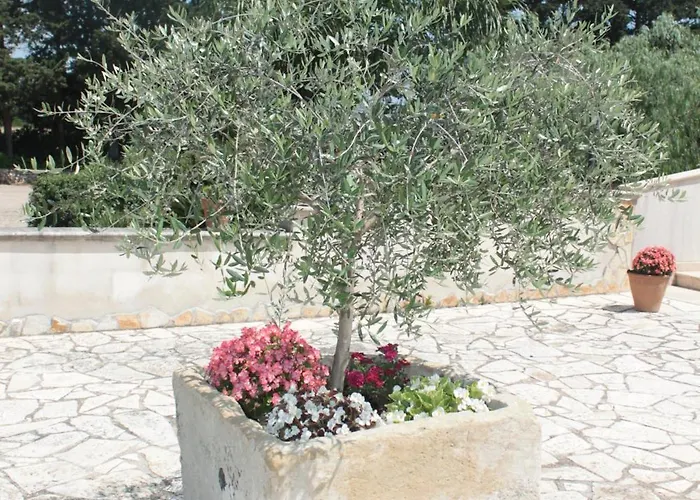 Tenuta Turchi Bed and breakfast